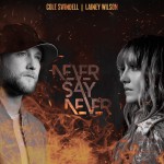 Buy Never Say Never (Feat. Lainey Wilson) (CDS)