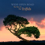 Buy Wide Open Road: The Best Of