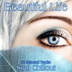 Buy Beautiful Life: 60 Selected Tracks Soul Chillout CD3