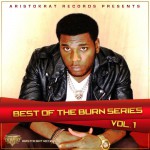 Buy Best Of Burn Series Vol. 1