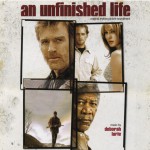 Buy An Unfinished Life