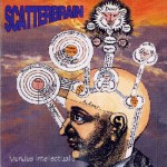 Purchase Scatterbrain Mundus Intellectualis