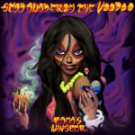 Buy Stay Away From The Voodoo