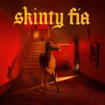 Buy Skinty Fia