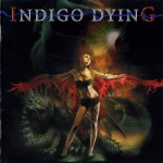 Buy Indigo Dying