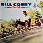 Buy Wonderfulness (Vinyl)