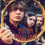 Buy Velvet Starlings