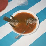 Buy Cream Of The Crop (CDS)