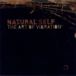 Buy The Art Of Vibration