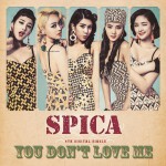 Buy You Don't Love Me (CDS)
