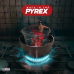 Buy Made In The Pyrex