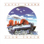 Buy Slow Train (An Album Of Acoustic Music) (Vinyl)