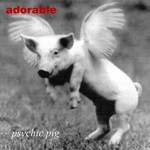 Buy Psychic Pig