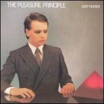 Buy The Pleasure Principle