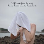Buy We'll Wave From The Shore