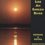 Buy Like An Endless River (Vinyl)