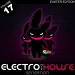 Buy Electronic House Sensation Vol.17 CD1