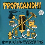 Buy How To Clean Everything
