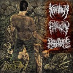 Buy Goresoaked Slamassacre (Split With Epicardiectomy & Dormant Carnivore)