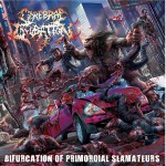 Buy Bifurcation Of Promordial Slamateurs