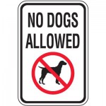 Buy No Dogs Allowed