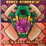 Buy Platinum Jive (Greatest Hits 1969-1999)