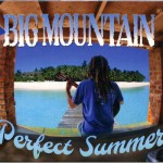 Buy Perfect Summer