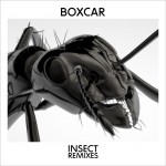 Buy Insect Remixes (EP)
