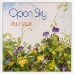 Buy Open Sky