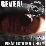 Buy What Estate R U From? (The Extended EP)