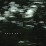 Buy Whale Fall