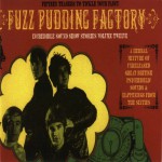 Buy Incredible Sound Show Stories Vol. 12: Fuzz Pudding Factory (Vinyl)