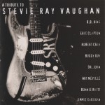 Buy A Tribute To Stevie Ray Vaughan
