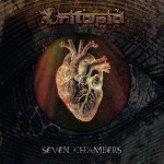 Buy Seven Chambers