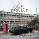 Buy Eagulls