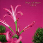 Buy Pop Ambient 2014