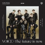 Buy Voice : The Future Is Now