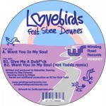 Buy Want You In My Soul (Feat. Stee Downes) (CDS)