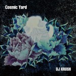 Buy Cosmic Yard
