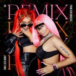 Buy Whole Lotta Money (Feat. Nicki Minaj) (Remix) (CDS)
