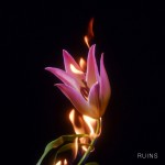 Buy Ruins (EP)