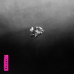 Purchase Little Simz Lotus
