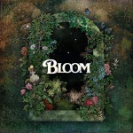 Buy Bloom