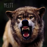 Buy Meltt (EP)