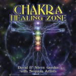 Buy Chakra Healing Zone