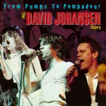 Buy From Pumps To Pompadour The David Johansen Story