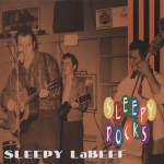 Buy Sleepy Rocks