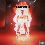 Buy Earwig (With Twist L's)