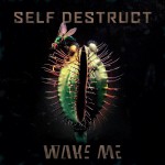 Buy Self Destruct (EP)