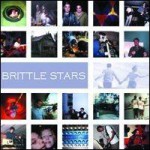 Buy Brittle Stars